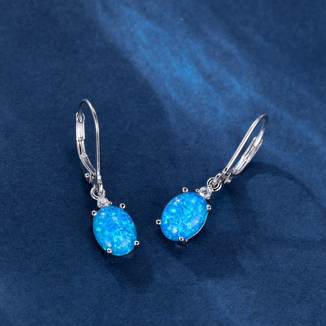 S925 Sterling Silver Dangle Earrings