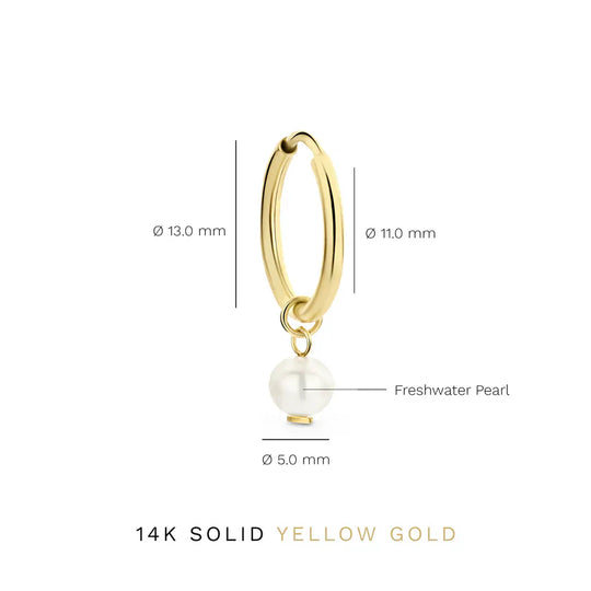 Delia Crest Earrings